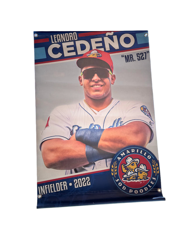 Amarillo Sod Poodles Leandro Cedeno Street Banner