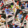 Springfield Cardinals Team Card Set 2025