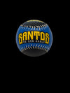 Copa Santos De San Pablo BaseBall