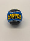 Copa Santos De San Pablo BaseBall