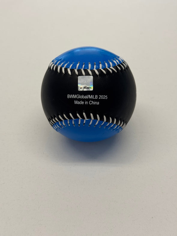 Copa Santos De San Pablo BaseBall