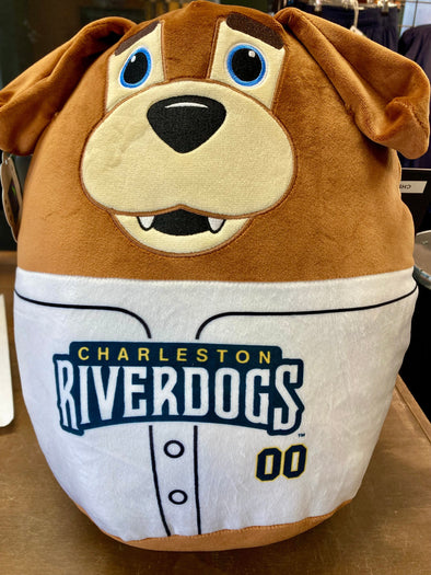 Charleston RiverDogs Plushie Animal Care Package