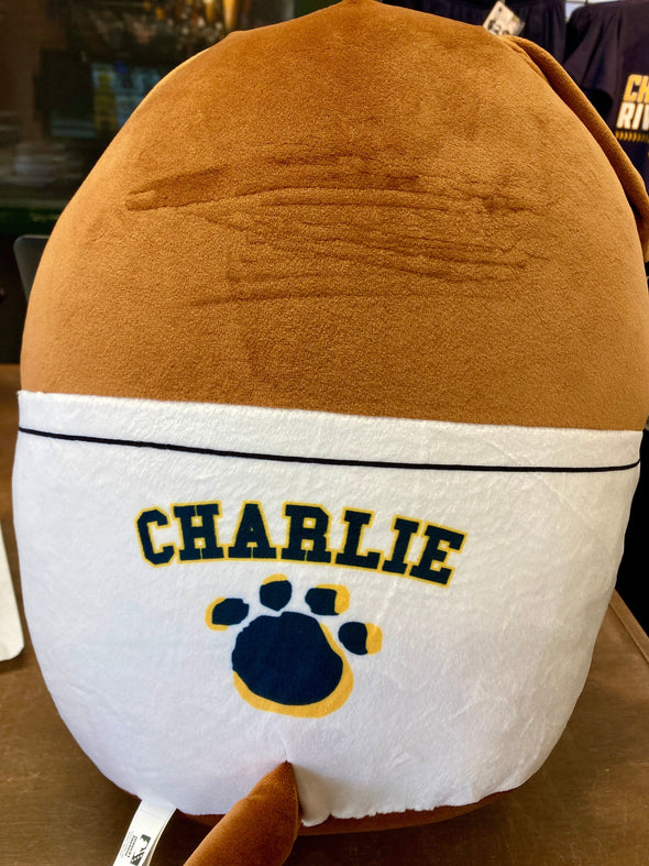 Charleston RiverDogs Charlie T. RiverDog Squishy Pillow Plush