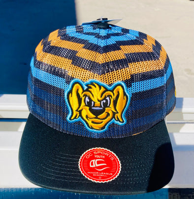 Charleston RiverDogs Youth All Mesh Crown BP Cap