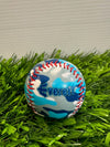 Everett AquaSox Camo Baseball