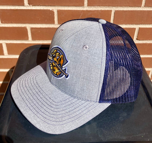 Charleston RiverDogs Marled Shea Navy Snapback