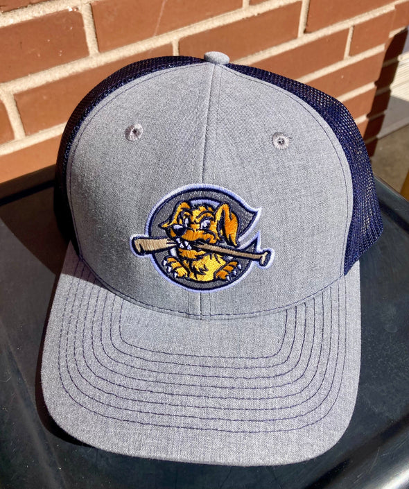 Charleston RiverDogs Marled Shea Navy Snapback