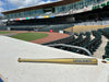 Augusta GreenJackets Mini Bat