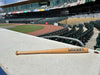 Augusta GreenJackets Mini Bat