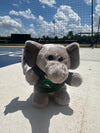 GreenJackets Stubbies