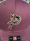 Pensacola Blue Wahoos x FSU Trucker