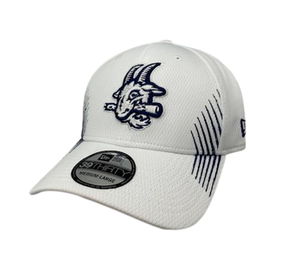 Hartford Yard Goats New Era Striped Flex Fit - White