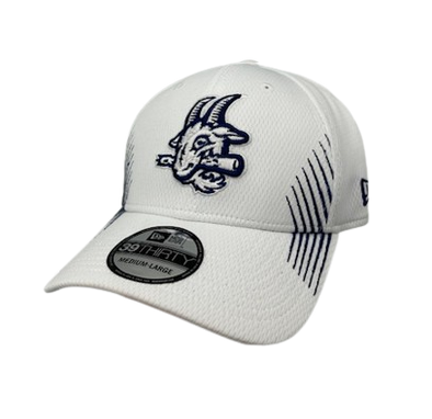 Hartford Yard Goats New Era Striped Flex Fit - White