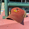 Delmarva Shorebirds Legacy Youth Sherman Old Favorite Cap