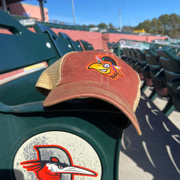 Delmarva Shorebirds Legacy Youth Sherman Old Favorite Cap