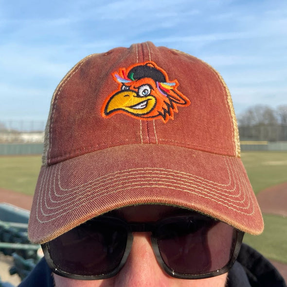 Delmarva Shorebirds Legacy Youth Sherman Old Favorite Cap