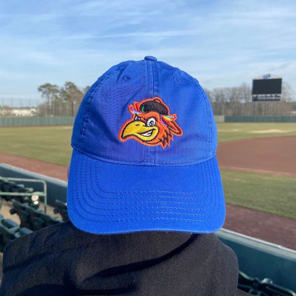 Delmarva Shorebirds Legacy Youth Sherman Twill Cap