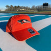 Delmarva Shorebirds '47 Home Logo Orange Clean Up