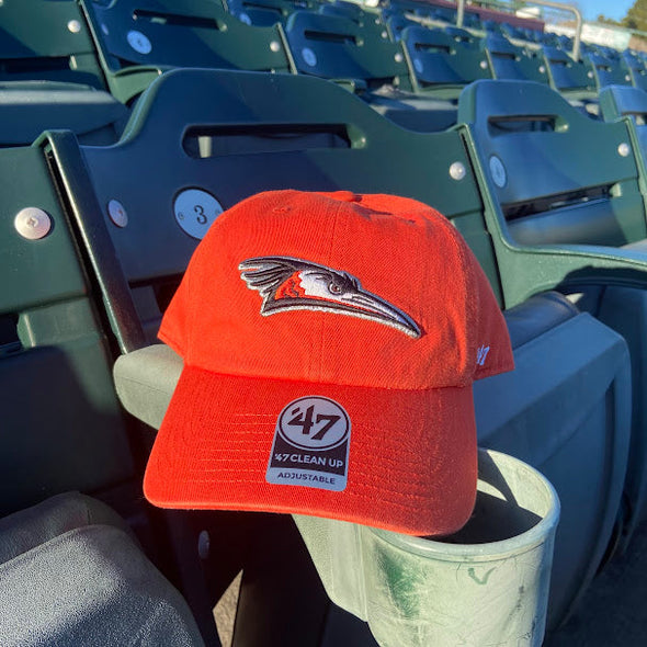Delmarva Shorebirds '47 Home Logo Orange Clean Up