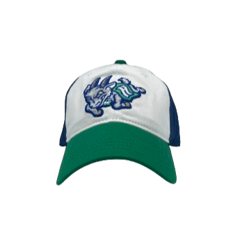 Hartford Yard Goats OC Sports Pinwheel Charging Goat Adjustable Cap