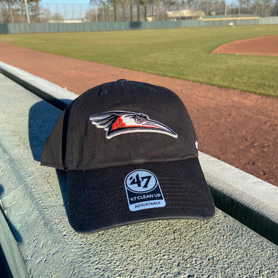 Delmarva Shorebirds '47 Home Logo Black Clean Up