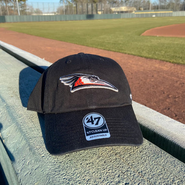 Delmarva Shorebirds '47 Home Logo Black Clean Up