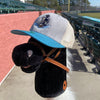 Delmarva Shorebirds Wild Ponies L2 Stone Trucker Snapback