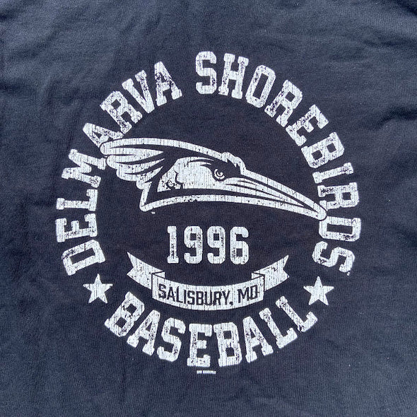 Delmarva Shorebirds Bimm Ridder Men's Purfling Tee