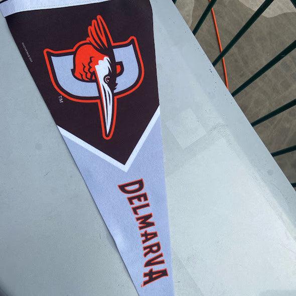 Delmarva Shorebirds WinCraft 12"x30" Pennant