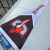 Delmarva Shorebirds WinCraft 12"x30" Pennant