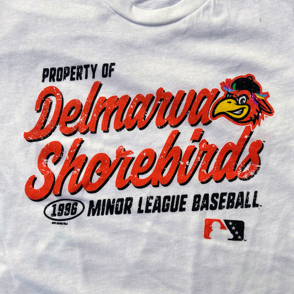 Delmarva Shorebirds Bimm Ridder Ladies Clawhammer Crop Tee