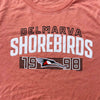 Delmarva Shorebirds Bimm Ridder Ladies Stripped Tri-Blend Tee