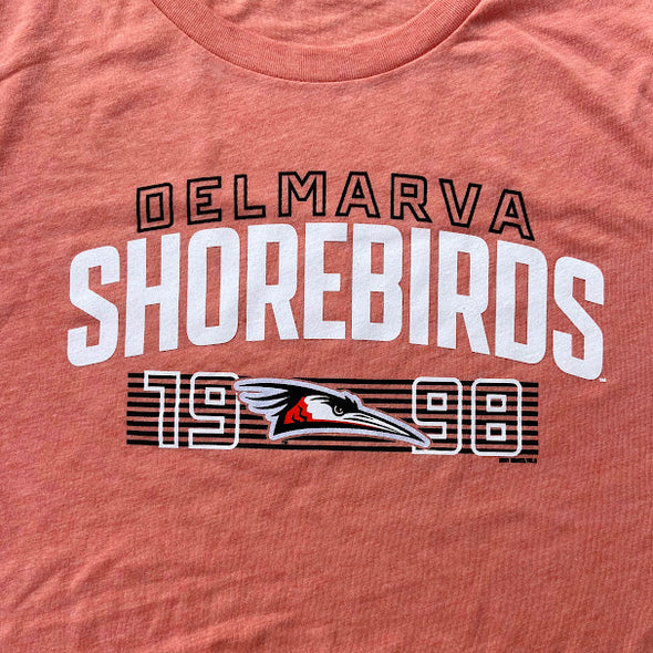 Delmarva Shorebirds Bimm Ridder Ladies Stripped Tri-Blend Tee