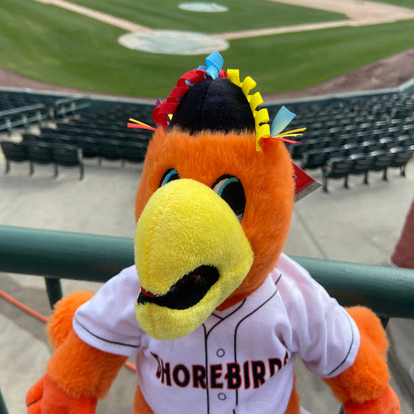 Delmarva Shorebirds FOCO Sherman 14" Plush