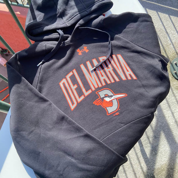 Delmarva Shorebirds Under Armour Men's Hoodie