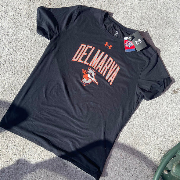 Delmarva Shorebirds Under Armour Mens Tech Tee