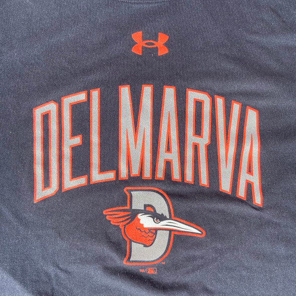 Delmarva Shorebirds Under Armour Mens Tech Tee
