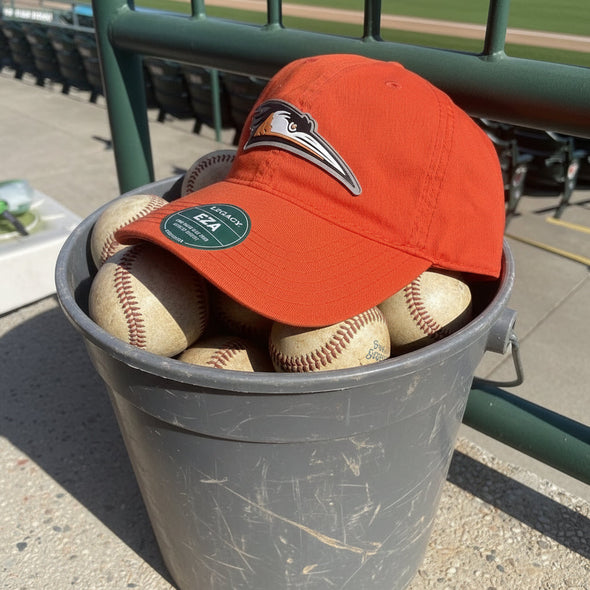 Delmarva Shorebirds Legacy Relaxed Twill Patch Cap