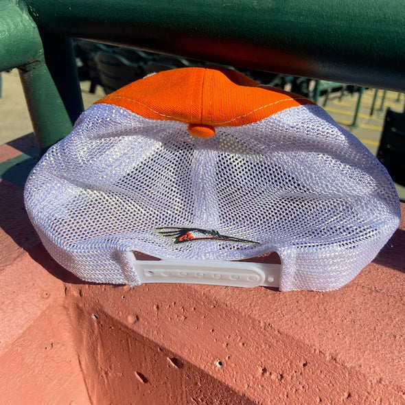 Delmarva Shorebirds Bimm Ridder Youth Draw Cap