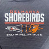 Delmarva Shorebirds Bimm Ridder Bigeth Performance Long Sleeve