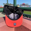 Delmarva Shorebirds Black Clover Club Colors Snapback