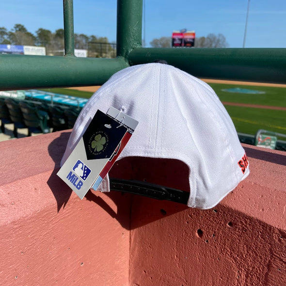 Delmarva Shorebirds Black Clover Infield Snapback