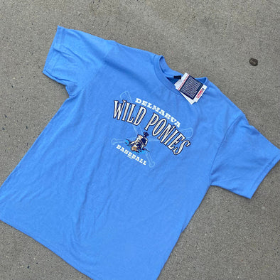 Delmarva Shorebirds Bimm Ridder Youth Roost Wild Ponies Tee