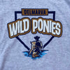 Delmarva Shorebirds Bimm Ridder Youth Precon Wild Ponies Tee