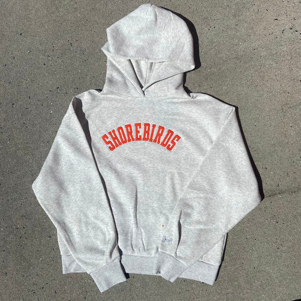 Delmarva Shorebirds Under Armour Women's Icon Fleece Hoodie