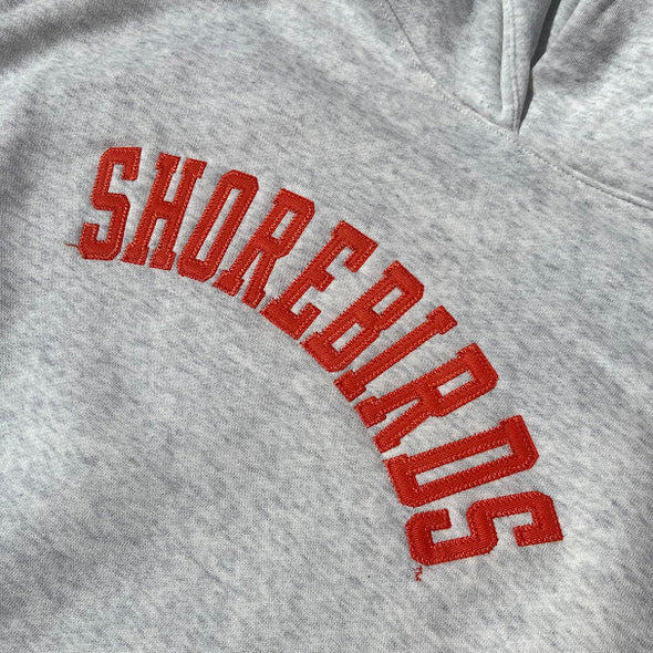 Delmarva Shorebirds Under Armour Women's Icon Fleece Hoodie
