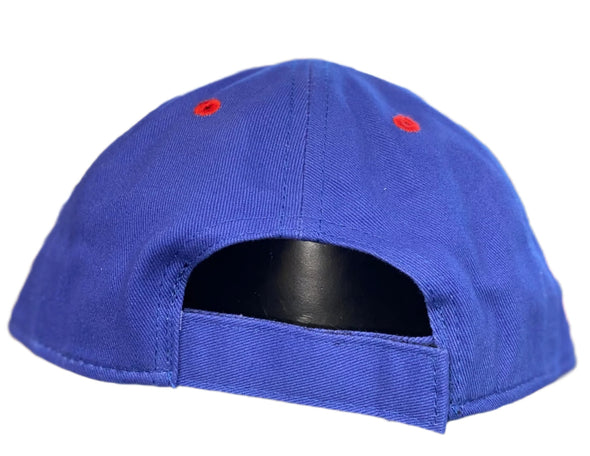 Toddler Iowa Cubs Swap Cap