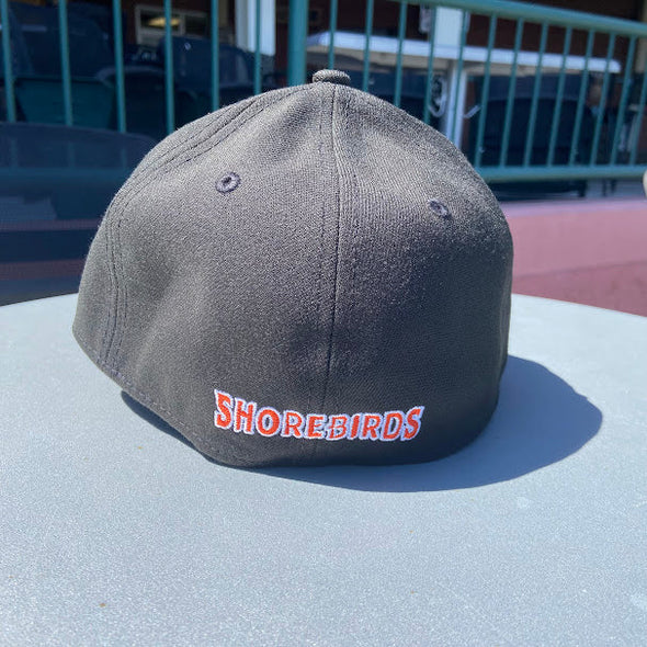 Delmarva Shorebirds New Era 39THIRTY Stretch Road Logo Cap