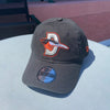 Delmarva Shorebirds New Era Youth Road Adjustable Cap