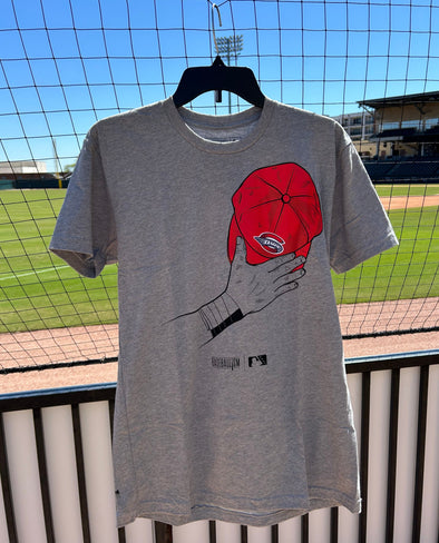 Greenville Drive Baseballism Gray Anthem Tee